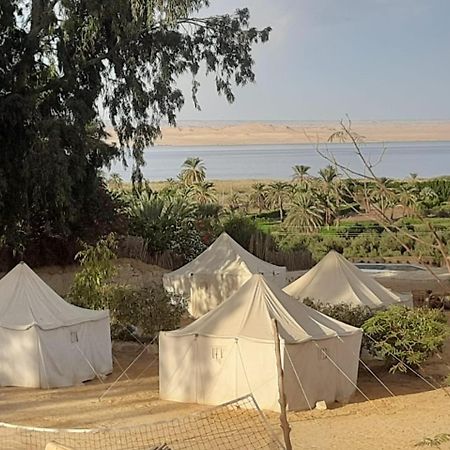 Tunis Camp Fayoum Exterior photo