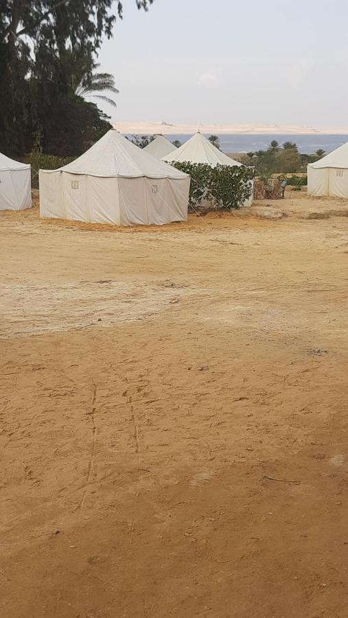 Tunis Camp Fayoum Exterior photo
